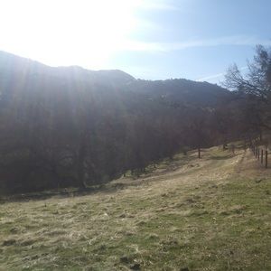 Meet your Posher, Christian